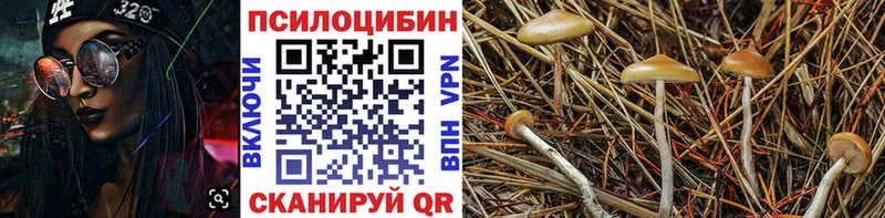 Галлюциногенные грибы мицелий Каргополь