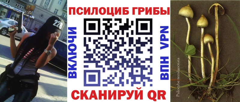 дарнет шоп  kraken ONION  Галлюциногенные грибы Psilocybe  Каргополь 